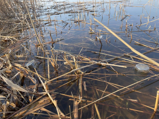 Siedleccy wędkarze chcą posprzątać okolice zalewu. Pomożecie?
