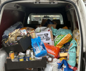 Rekord pobity! Ponad 400 kg karmy zebrane w akcji TikTokera dla schroniska w Ostrowie