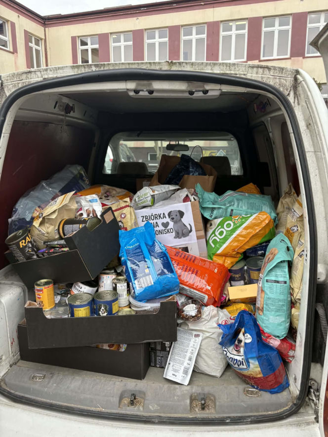 Rekord pobity! Ponad 400 kg karmy zebrane w akcji TikTokera dla schroniska w Ostrowie