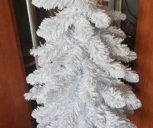 Choinki w domach polityków i urzędników. Która najpiękniejsza?