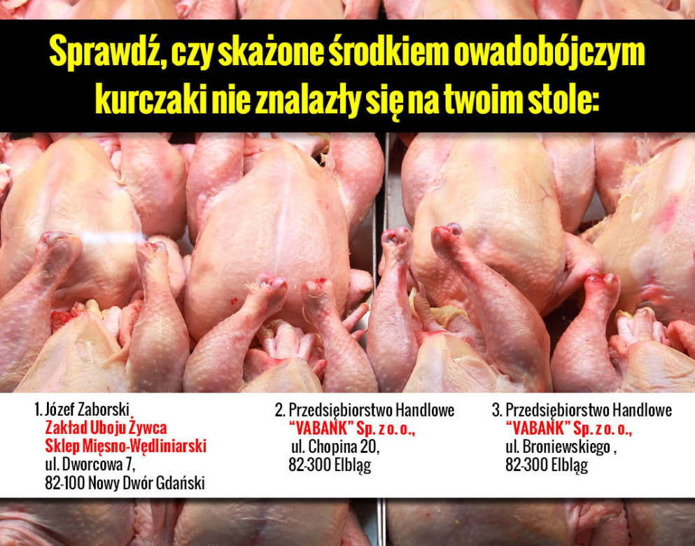 Galeria Skażone kurczaki adresy
