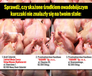 Galeria Skażone kurczaki adresy