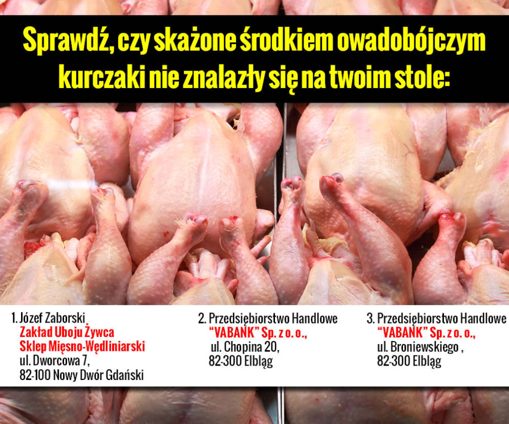 Galeria Skażone kurczaki adresy