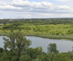 Jeziorko Czerniakowskie