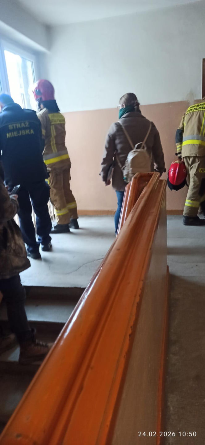 Dramat we Wrocławiu! Weszli do mieszkania i zamarli. Wszędzie były gołębie i odchody