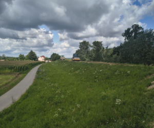 Velo Dunajec łączy się z Wiślaną Trasą Rowerową. Jak wygląda budowa odcinka w Wietrzychowicach?