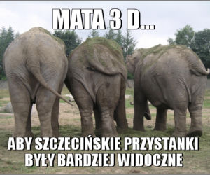 Memy o Szczecinie