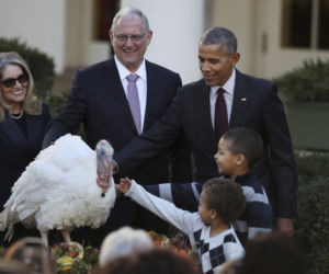 Obama i indyk