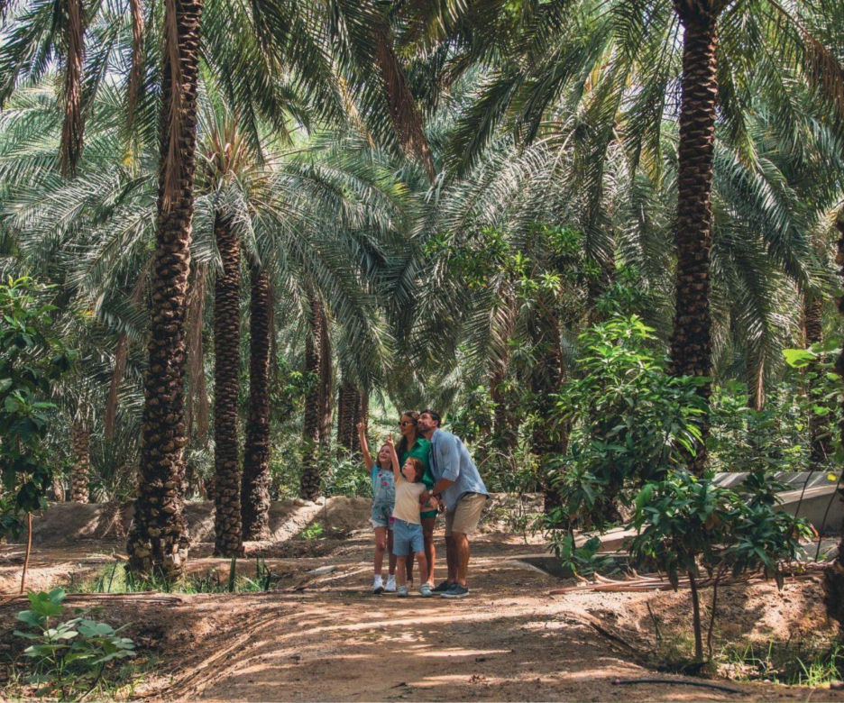 Zjednoczone Emiraty Arabskie - Ras Al Khaimah