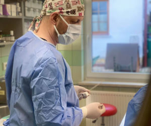 Biopsja koguta Zdzicha