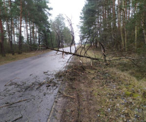 Orkan Sabina (Ciara) w Podlaskiem. Skutki wichur