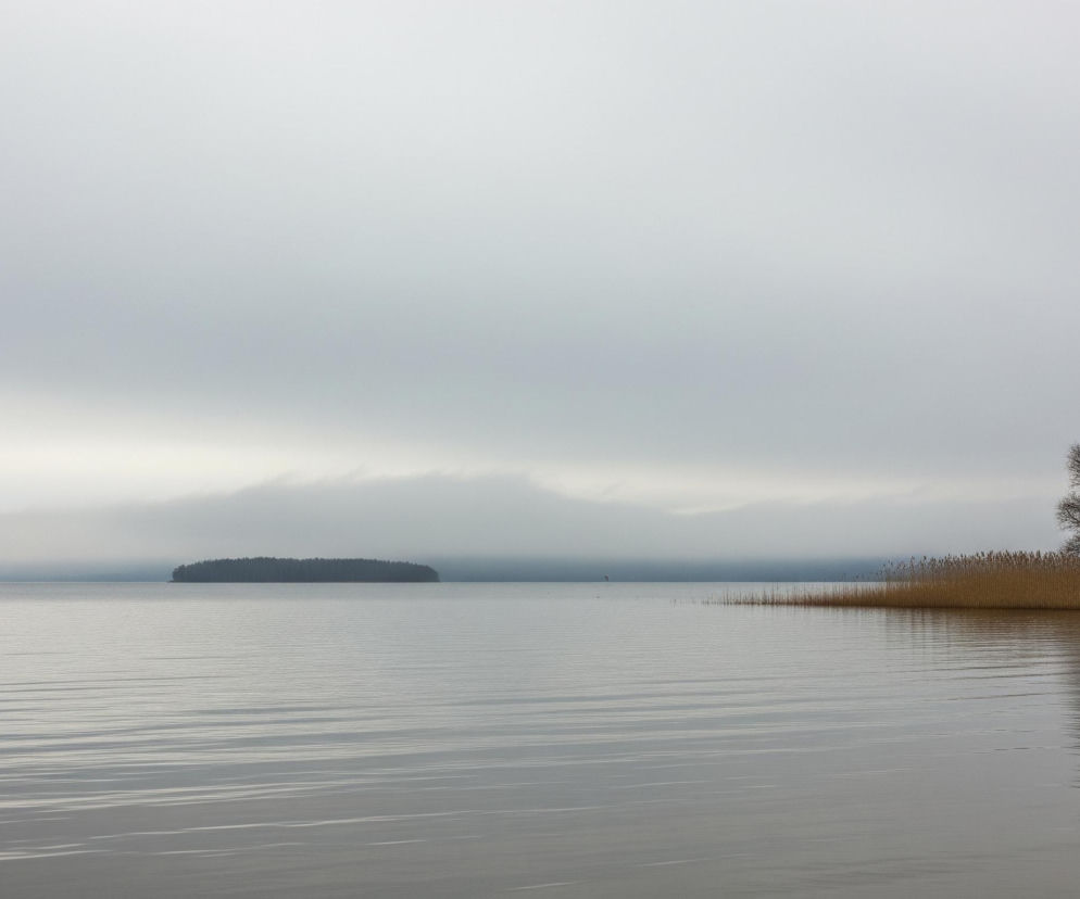 Srebrzystoszare, spokojne jezioro zajmuje dolną część kadru, z wyraźnymi poziomymi falami odbijającymi światło. Na horyzoncie, w oddali, widoczna jest podłużna, ciemna wyspa pokryta gęstym lasem, niemal zlewa się z mglistym, jasnoszarym niebem. Po prawej stronie, wzdłuż brzegu, rośnie wysoki, beżowy szuwar, za którym widać kilka nagich drzew o ciemnych gałęziach, odbijających się w wodzie. Całość zanurzona jest w monochromatycznej palecie szarości, beżu i delikatnych błękitów, tworząc chłodny, spokojny pejzaż.