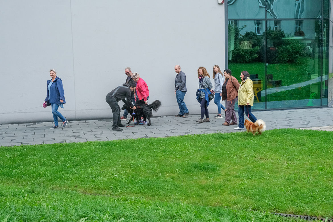 Zwyrodnialec truje nasze psy!
