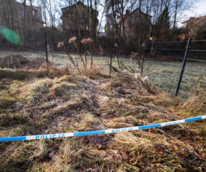 Zabójstwo 11-latki w Jeleniej Górze