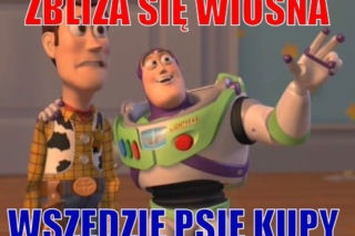 Pierwszy DZIEŃ WIOSNY 2022. Zobacz najlepsze MEMY!