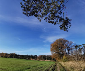 Słoneczny listopadowy poranek w Ostrowie