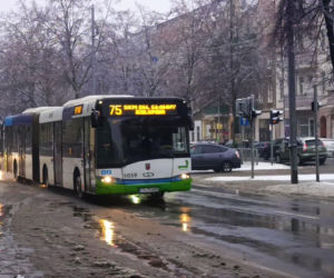 Atak zimy w Szczecinie