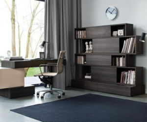 Meble do apartamentu: kolekcja HiFi