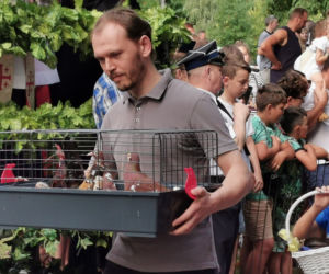 Święcenie zwierząt w Mikstacie