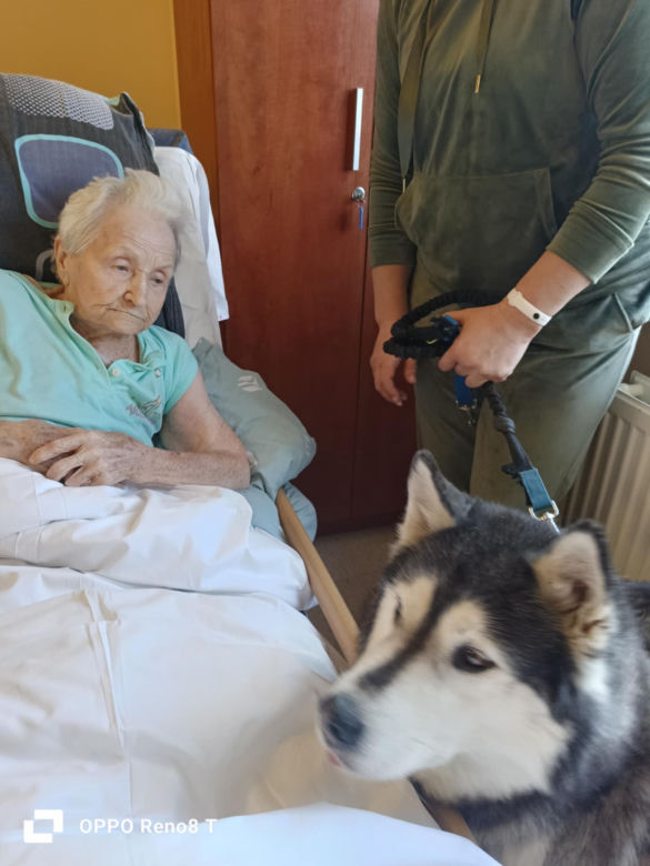 Dogoterapia w starachowickim ZOL-u. Czworonożnym terapeutą jest uroczy Hachi