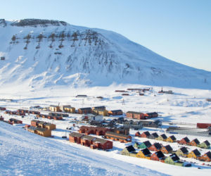 W tym mieście nie można umierać