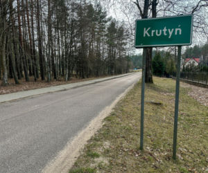 Bocian Krutek