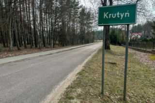 Bocian Krutek