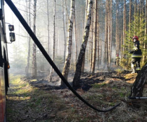 Pożary lasów na Pomorzu