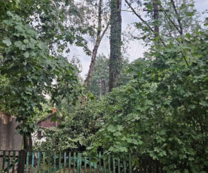 Skutki burz w Siedlcach i powiecie siedleckim