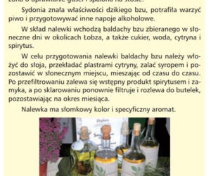 Regionalne specjały