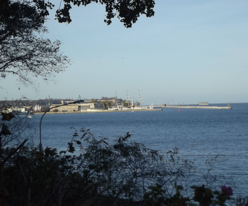 Polanka Redłowska z widokiem na marinę