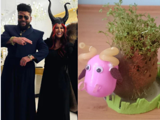 Rzeżuchy które wyglądają jak Krzysztof Rutkowski i jego legendarne fryzury