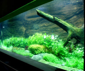 Rozbudowa ZOO
