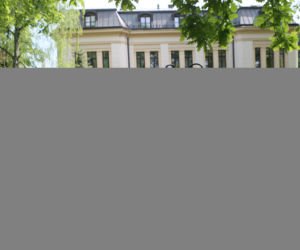 TRYBUNAL 029 TR
