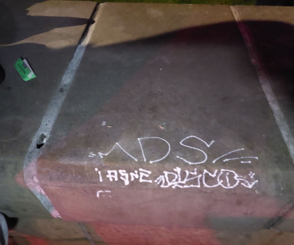 Miłośnicy narkotyków wpadli przez bazgroły. Mieli grzybki, LSD i woreczek z białym proszkiem