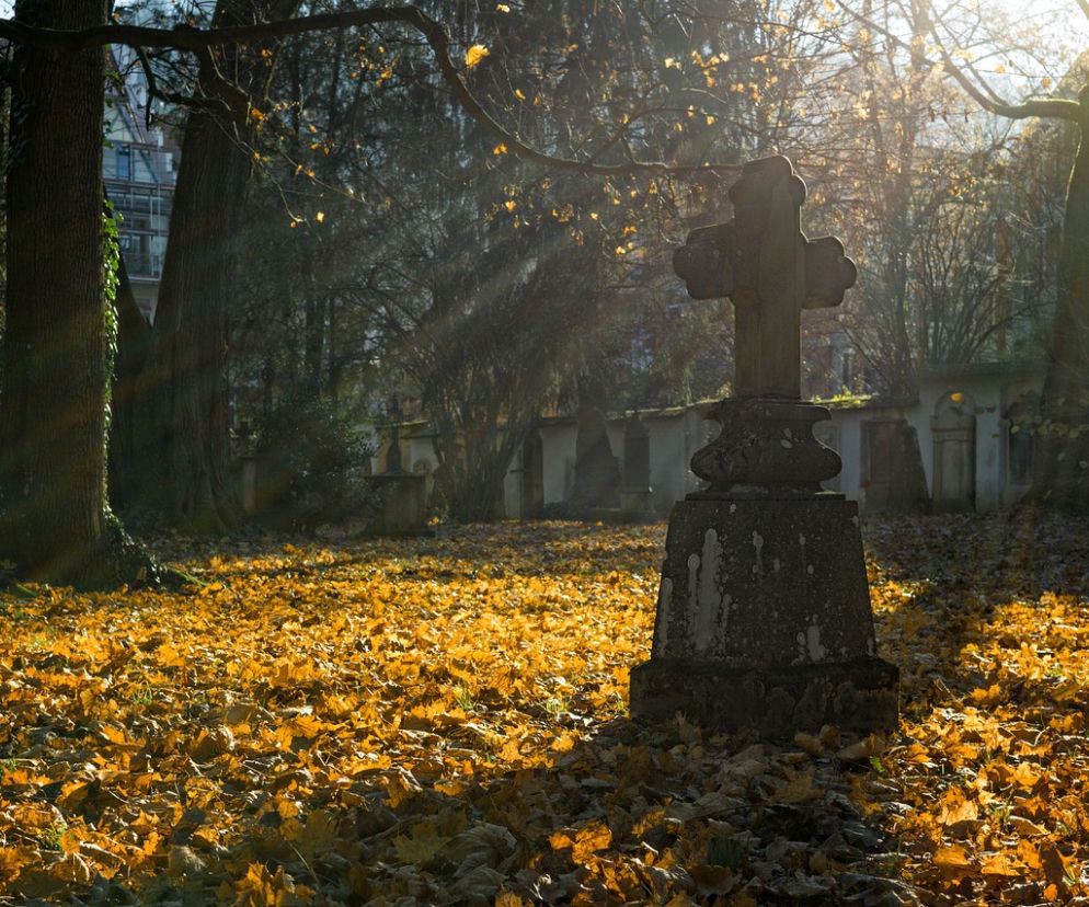 Zbrodnia połaniecka. Z zimną krwią zamordowali ciężarną kobietę, jej męża i brata!
