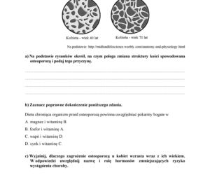 Matura 2018 z biologii. Poziom podstawowy - arkusze CKE