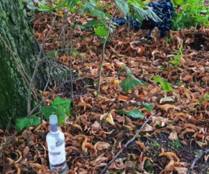 Wzgórze Napoleona w Szczecinie