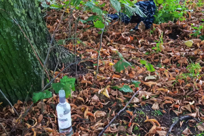 Wzgórze Napoleona w Szczecinie