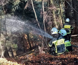 Wyrzucał popiół z kominka, ogniem zajął się hektar lasu w Baligrodzie [Zdjęcia]