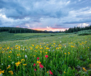 Wyraźna zmiana w pogodzie. Na to czekali Polacy. IMGW pokazał szczegóły