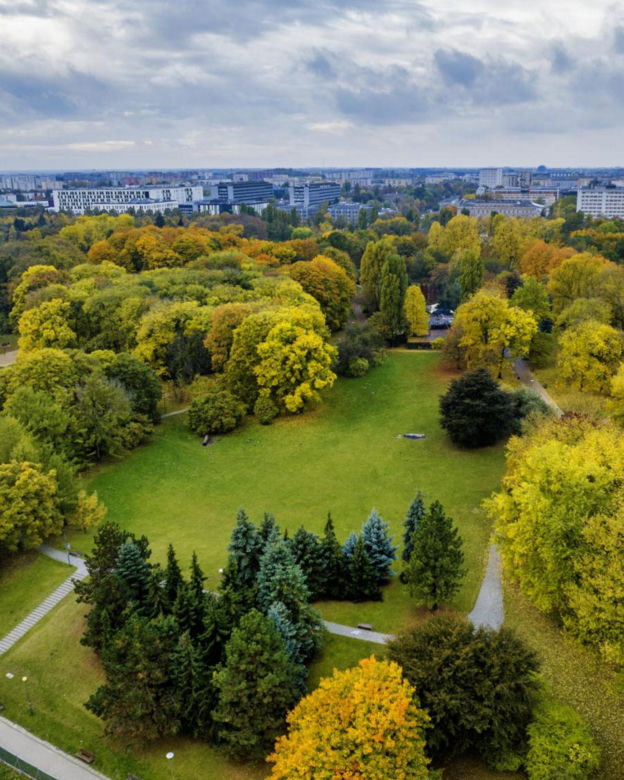 Nowe oblicze parku na Polu Mokotowskim. Nowe ławki, brak betonu i hotele dla owadów
