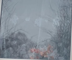 Michał Witkowski pod domem Violetty Villas