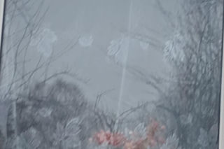 Michał Witkowski pod domem Violetty Villas