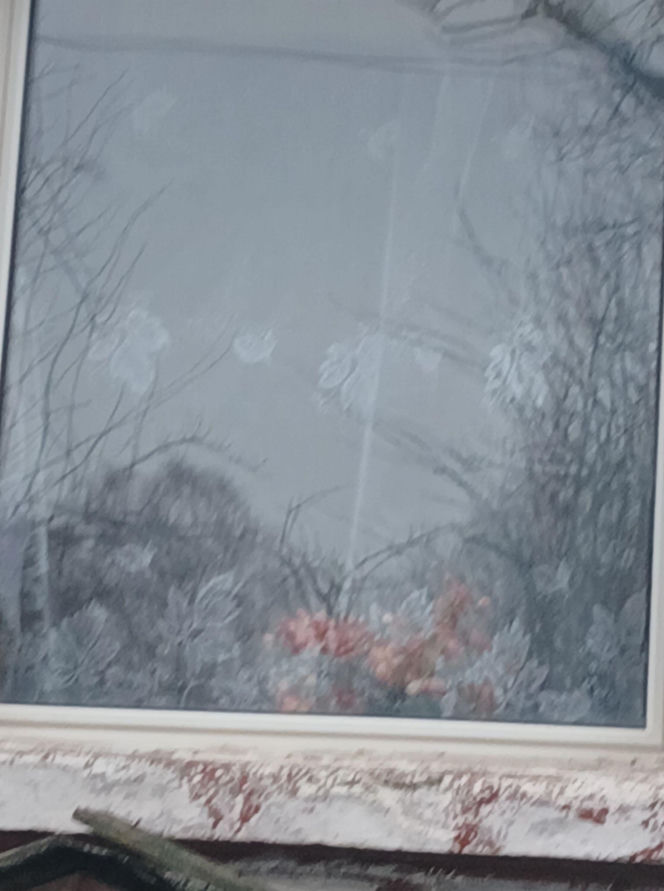 Michał Witkowski pod domem Violetty Villas