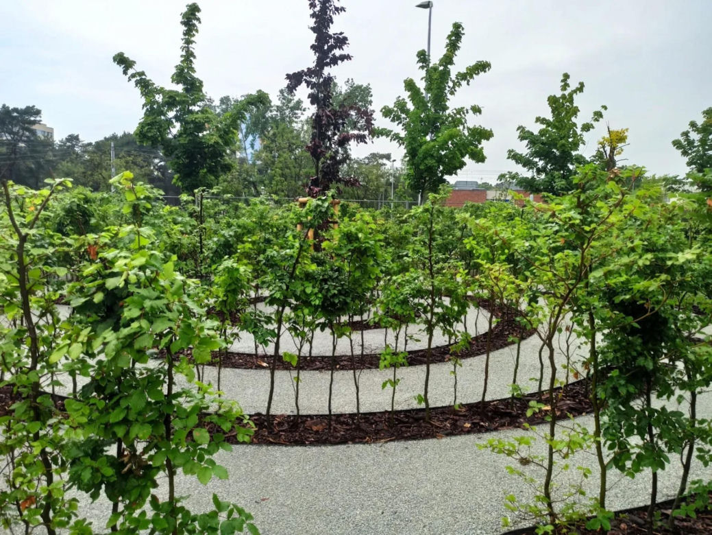 "Ukraińskie ustronie" to nowy toruński park kieszonkowy