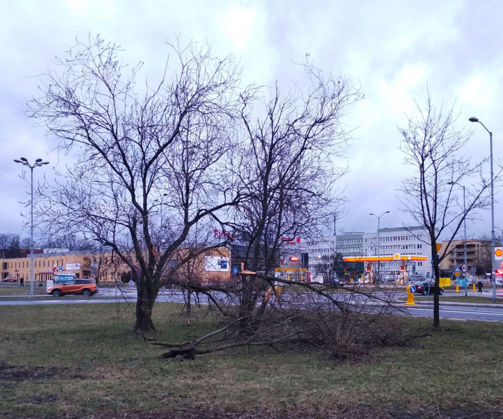 Wichury nad Śląskiem