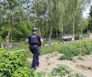 Zatrzymanie Dariusza R. po zbrodni w Mierzawie