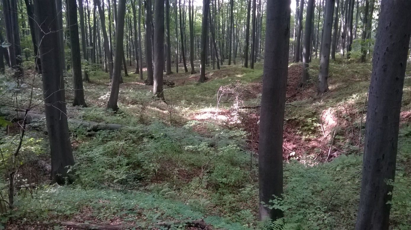 Rezerwat przyrody Segiet