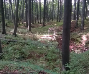 Rezerwat przyrody Segiet